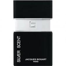 Perfume Silver Scent Masculino EDT 30ml